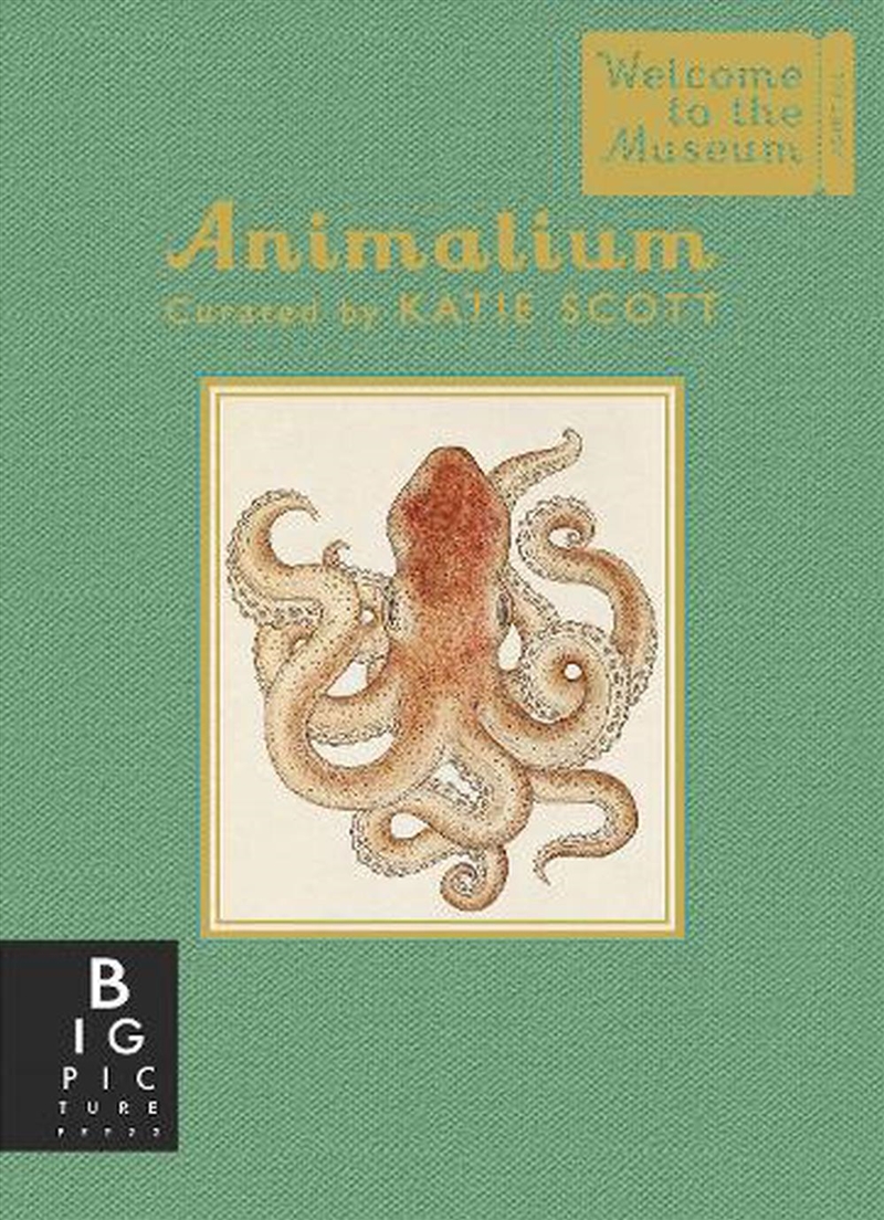Animalium (Gift Edition) (Welcome to the Museum)/Product Detail/Animals & Nature