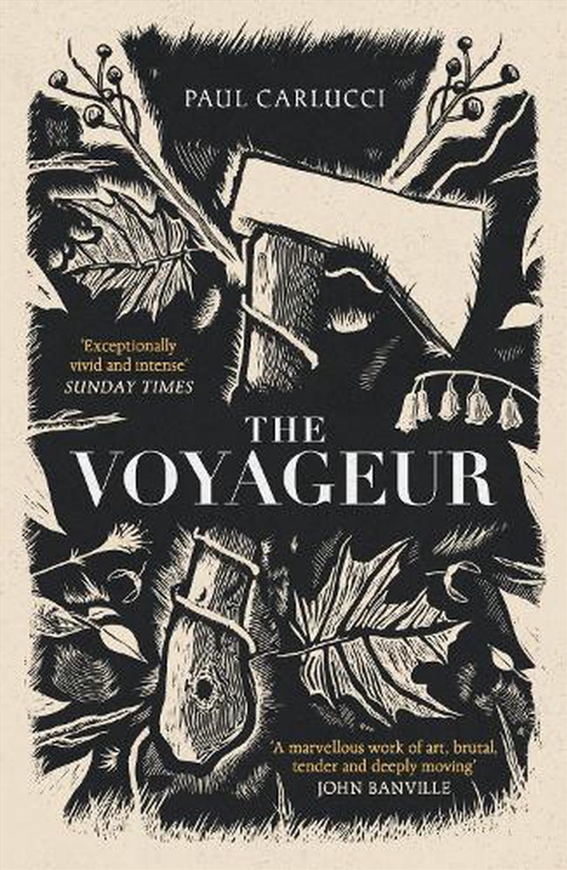 The Voyageur/Product Detail/Historical Fiction