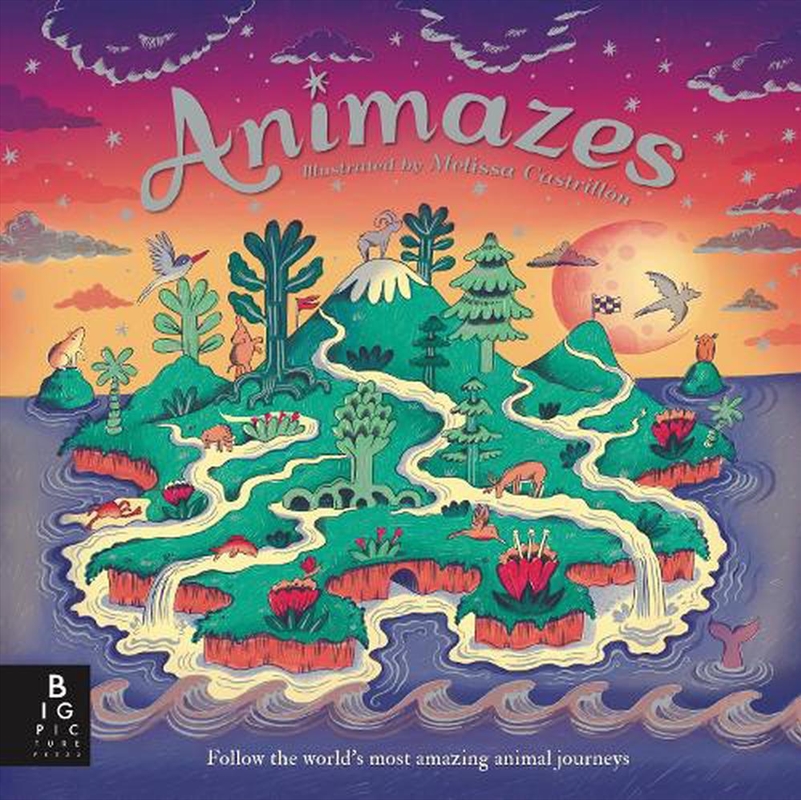 Animazes/Product Detail/Early Childhood Fiction Books