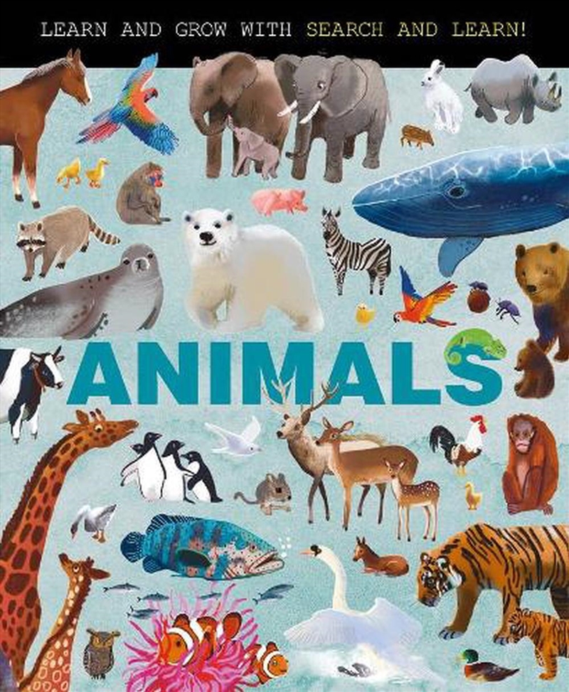 Animals (Search and Learn)/Product Detail/Childrens