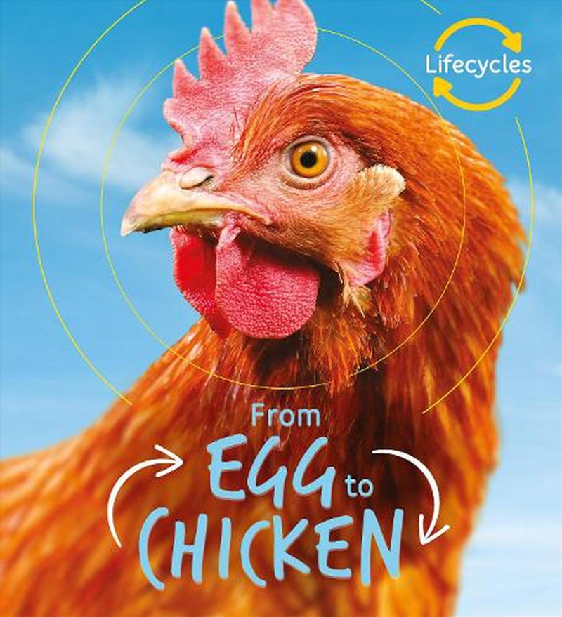 Egg to Chicken (Lifecycles)/Product Detail/Childrens