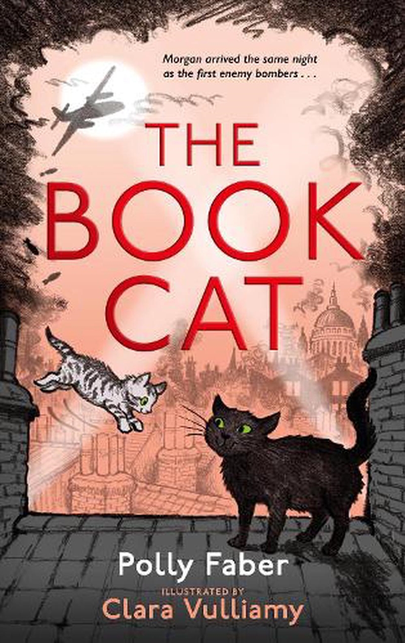 The Book Cat/Product Detail/Childrens Fiction Books