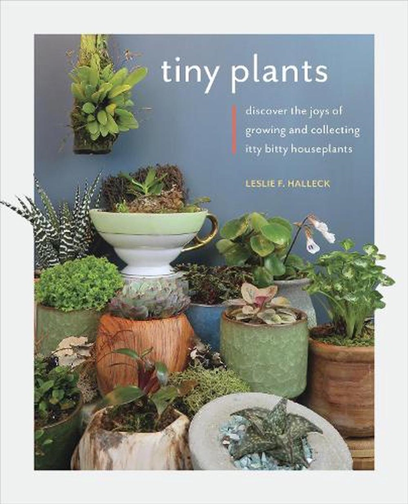 Tiny Plants/Product Detail/Gardening