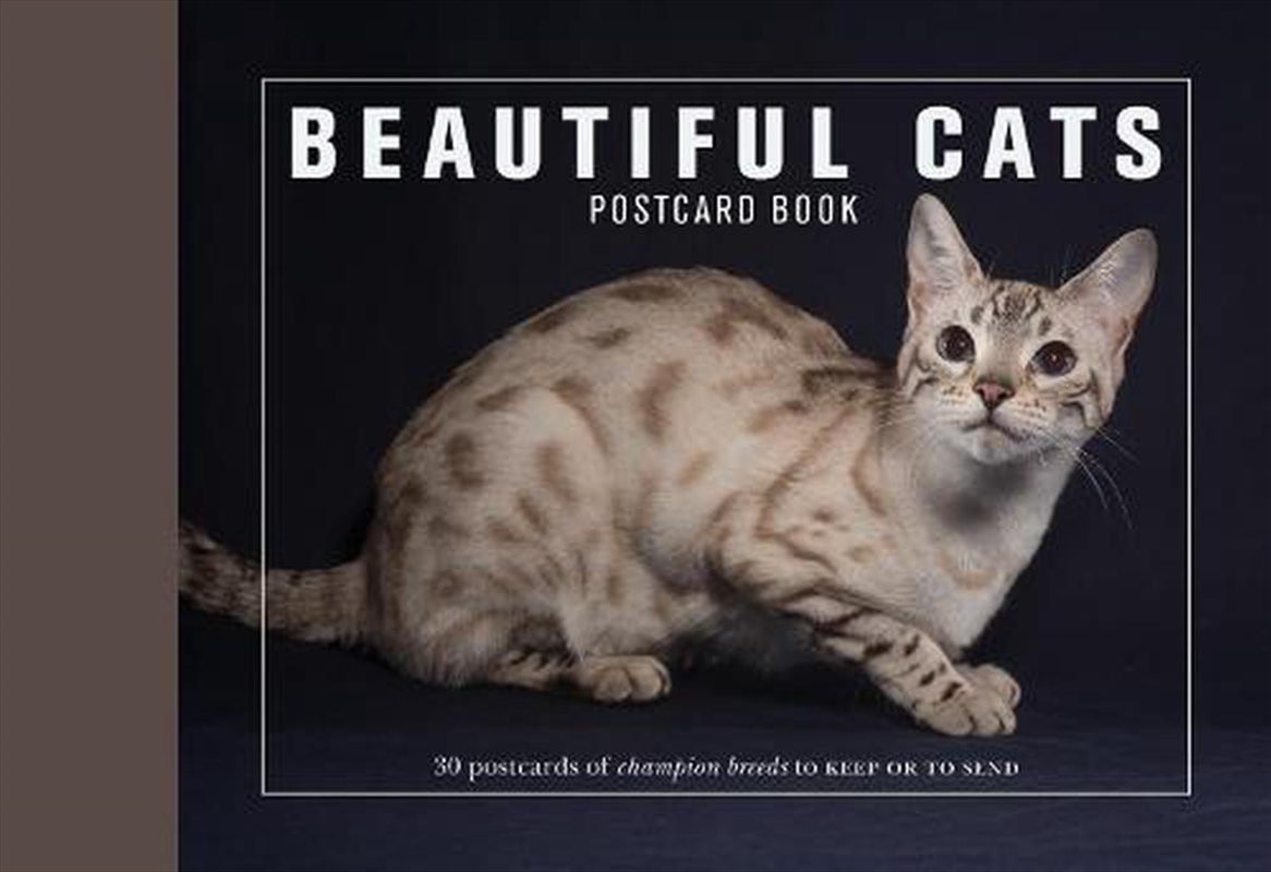 Beautiful Cats Postcard Book/Product Detail/Stationery