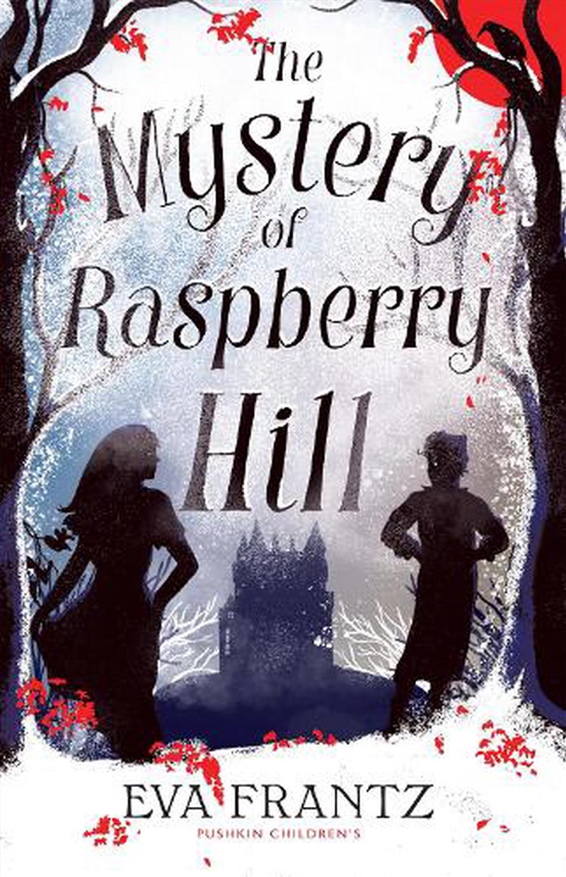 The Mystery of Raspberry Hill/Product Detail/Childrens Fiction Books