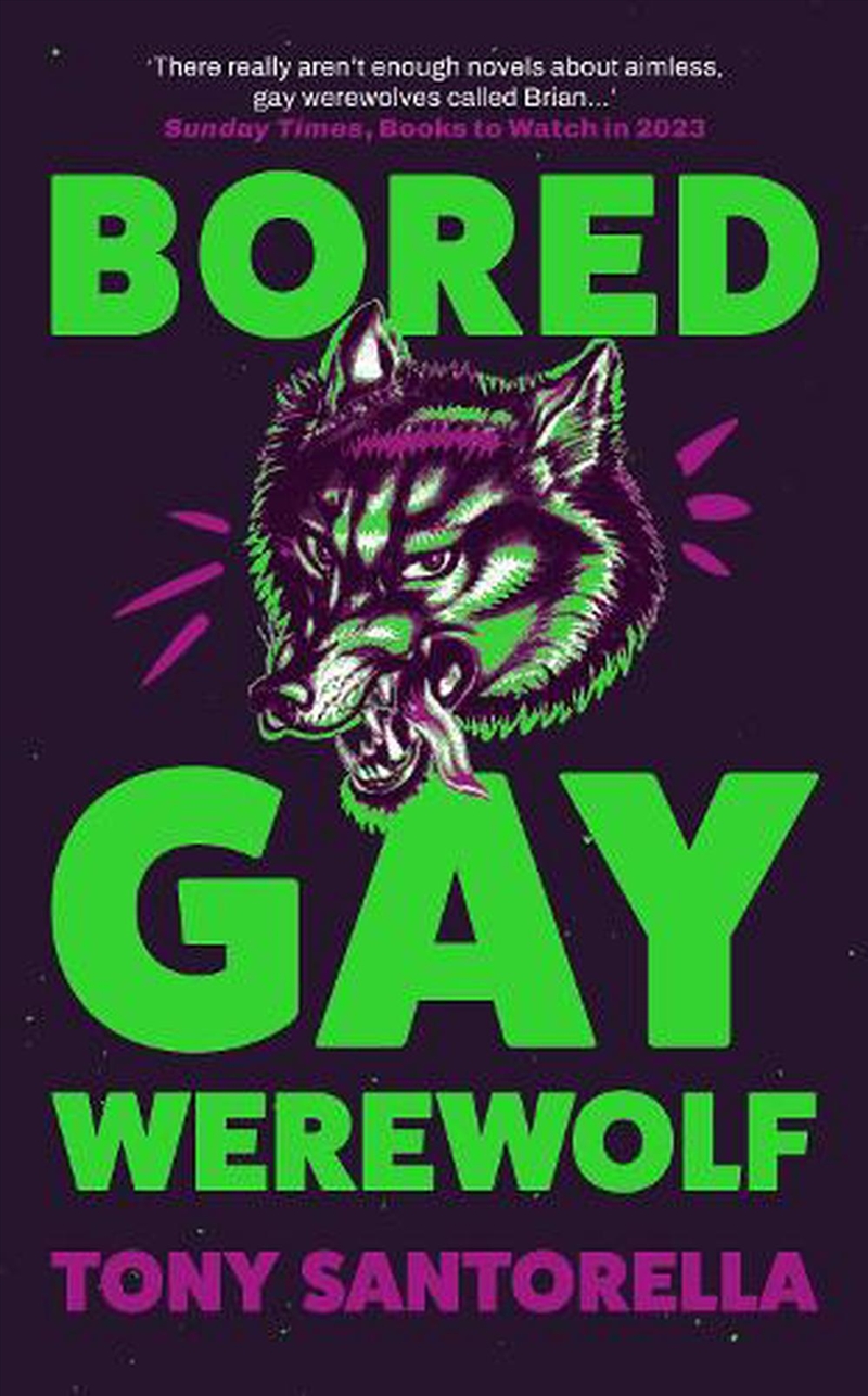 Bored Gay Werewolf/Product Detail/General Fiction Books