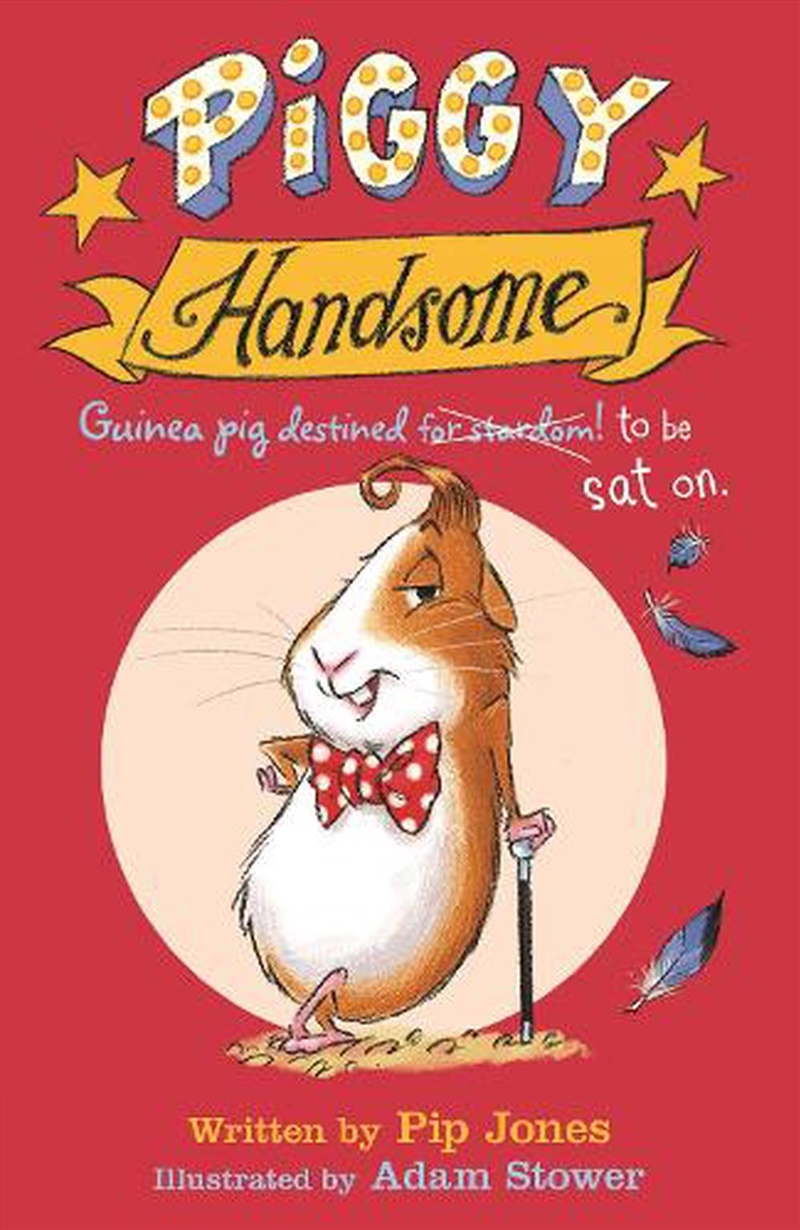 Piggy Handsome/Product Detail/Childrens Fiction Books