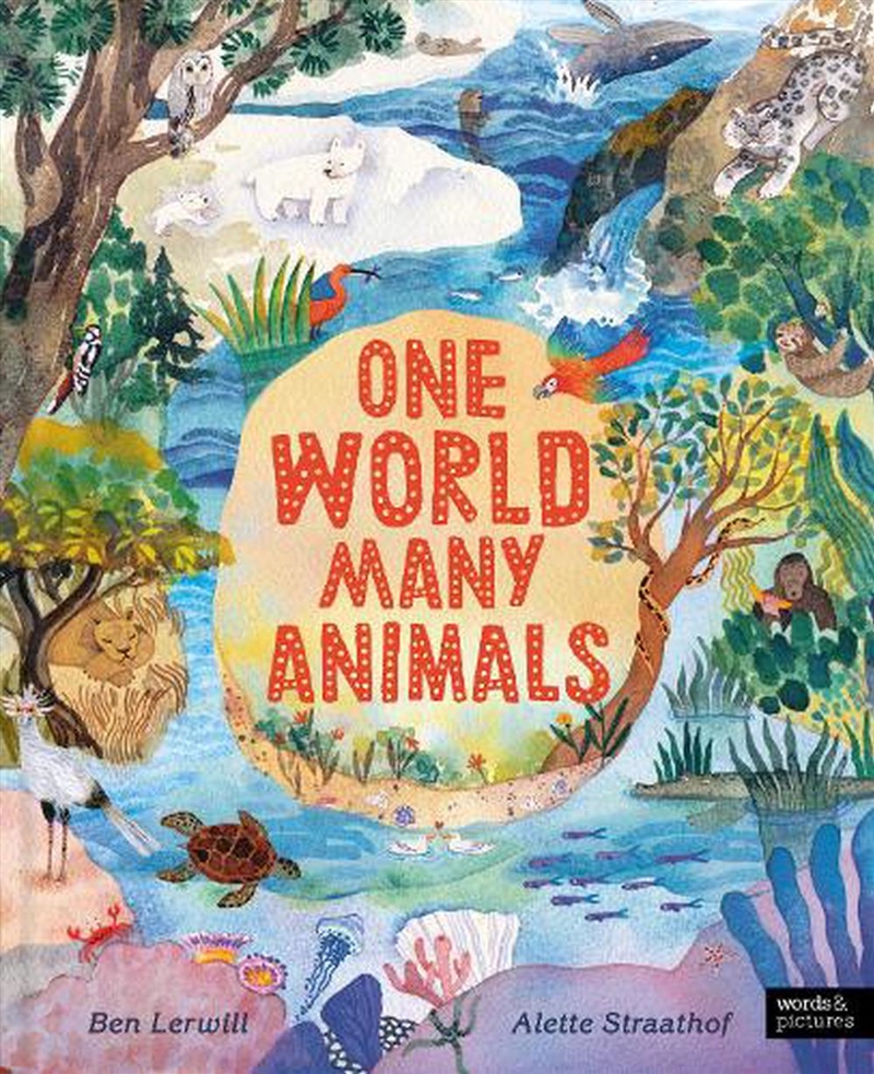 One World, Many Animals/Product Detail/Early Childhood Fiction Books