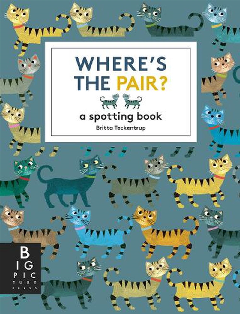 Where's the Pair?/Product Detail/Early Childhood Fiction Books