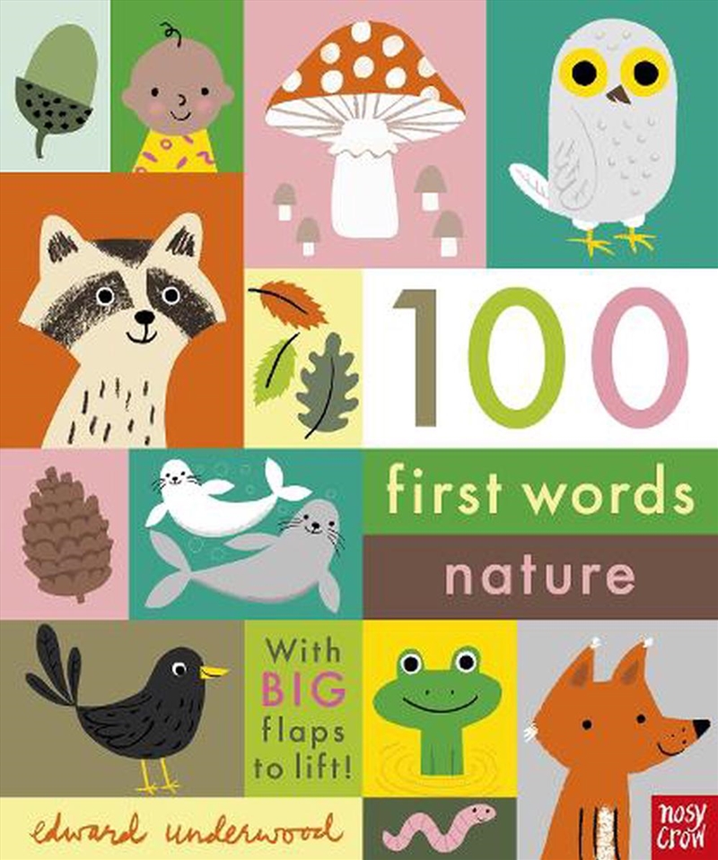 Nature (100 First Words)/Product Detail/Early Childhood Fiction Books