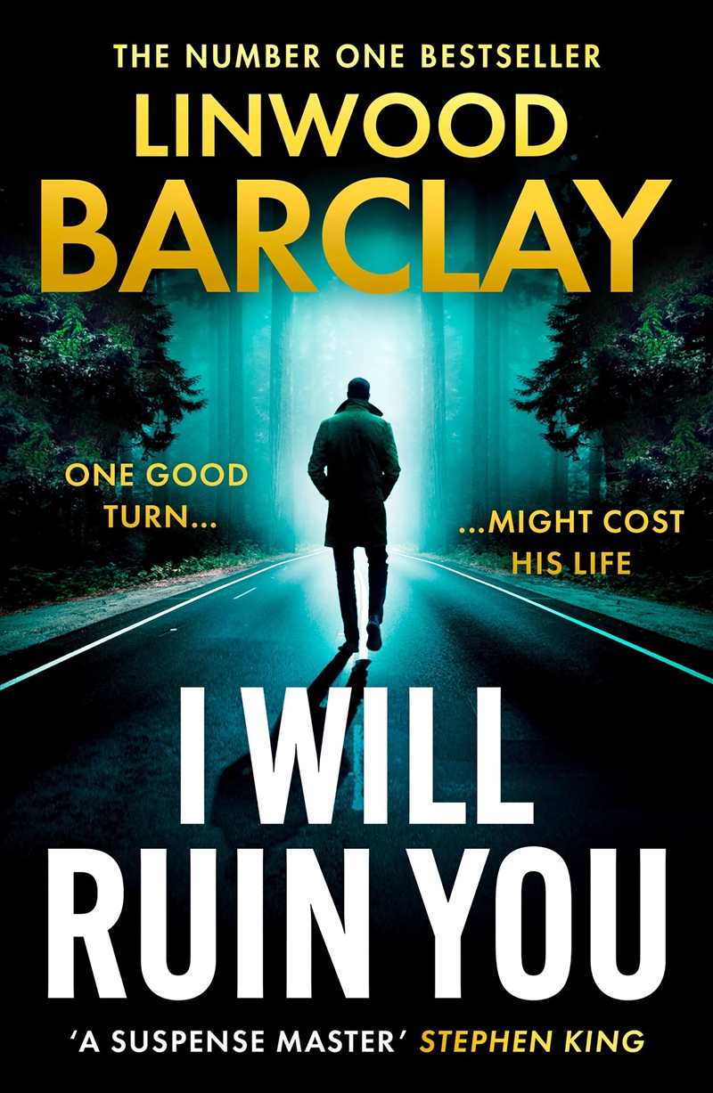 I Will Ruin You/Product Detail/Thrillers & Horror Books