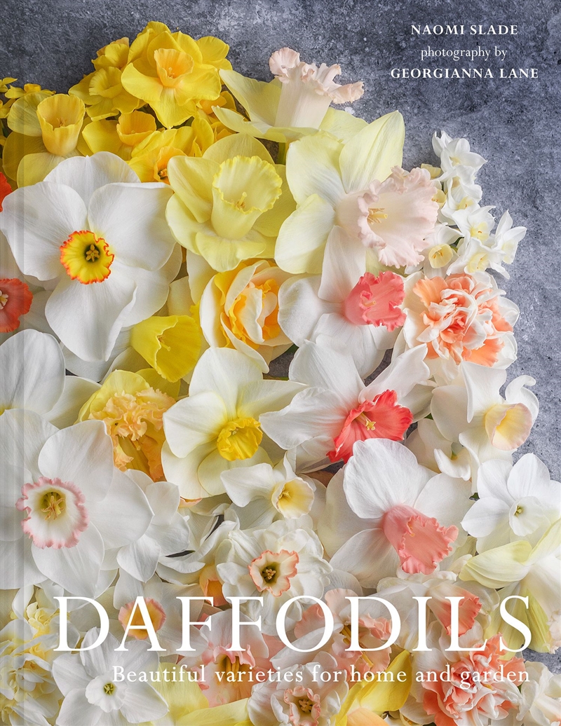 DAFFODILS/Product Detail/Animals & Nature