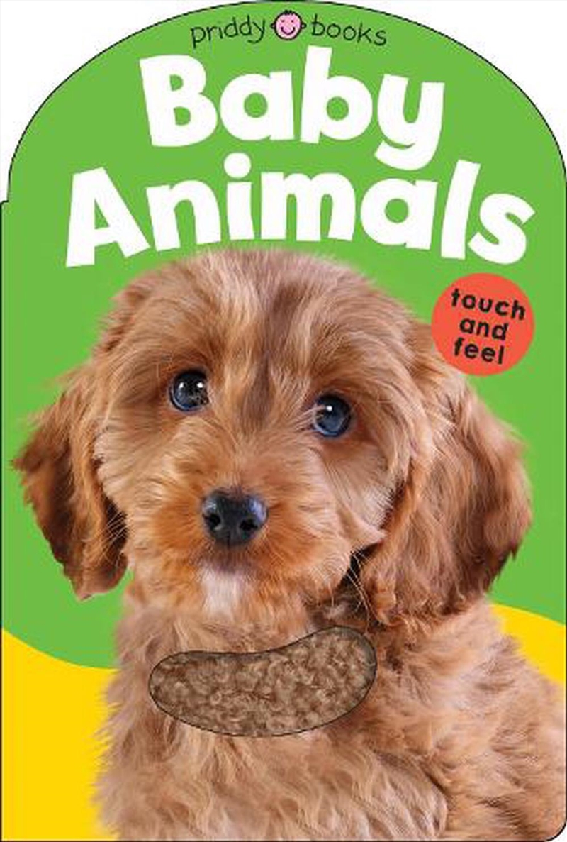 Baby Animals/Product Detail/Early Childhood Fiction Books