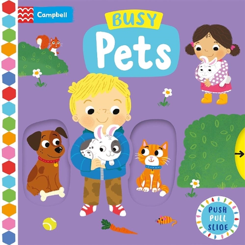 Busy Pets/Product Detail/Early Childhood Fiction Books