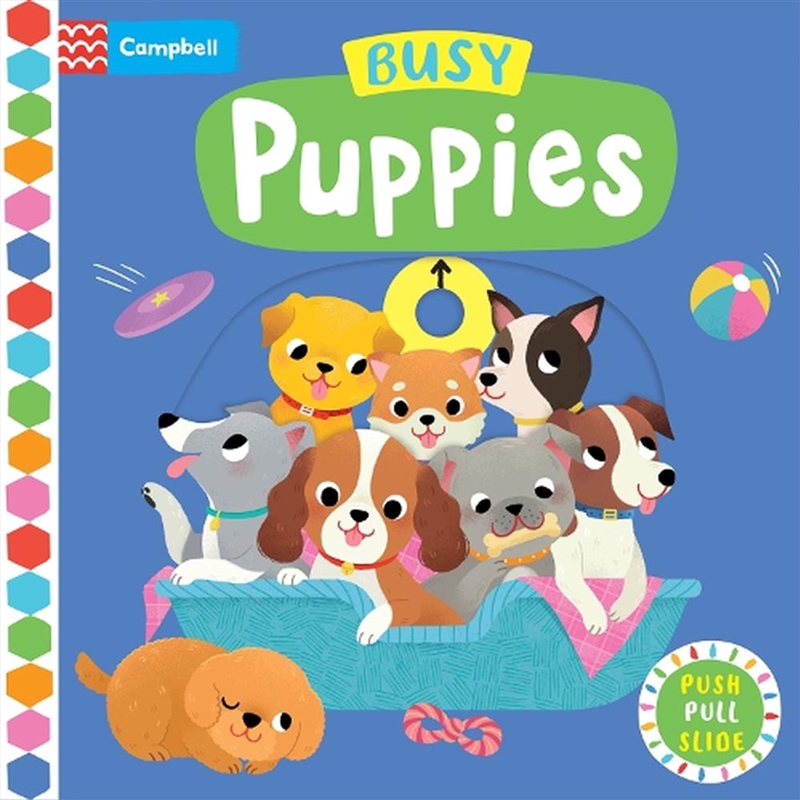 Busy Puppies/Product Detail/Early Childhood Fiction Books