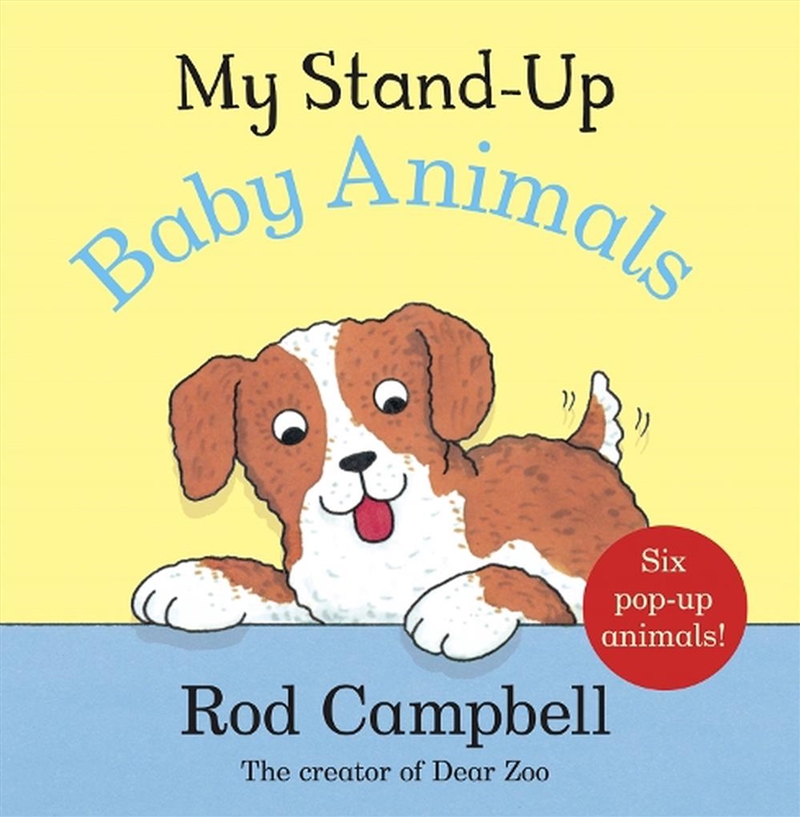 My Stand-Up Baby Animals/Product Detail/Early Childhood Fiction Books