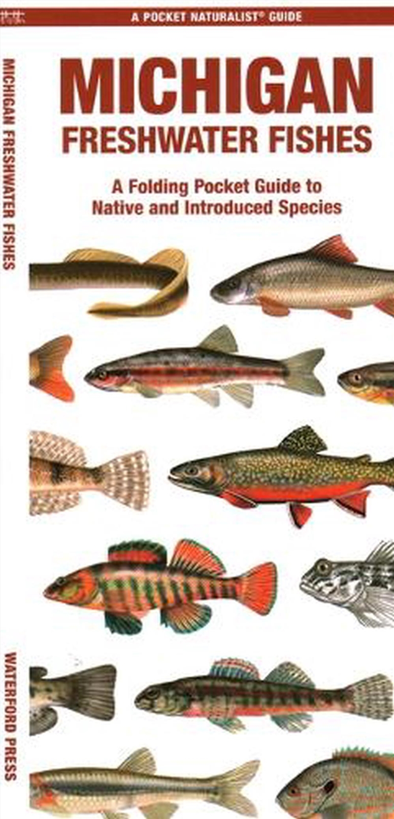 Michigan Freshwater Fishes/Product Detail/Animals & Nature