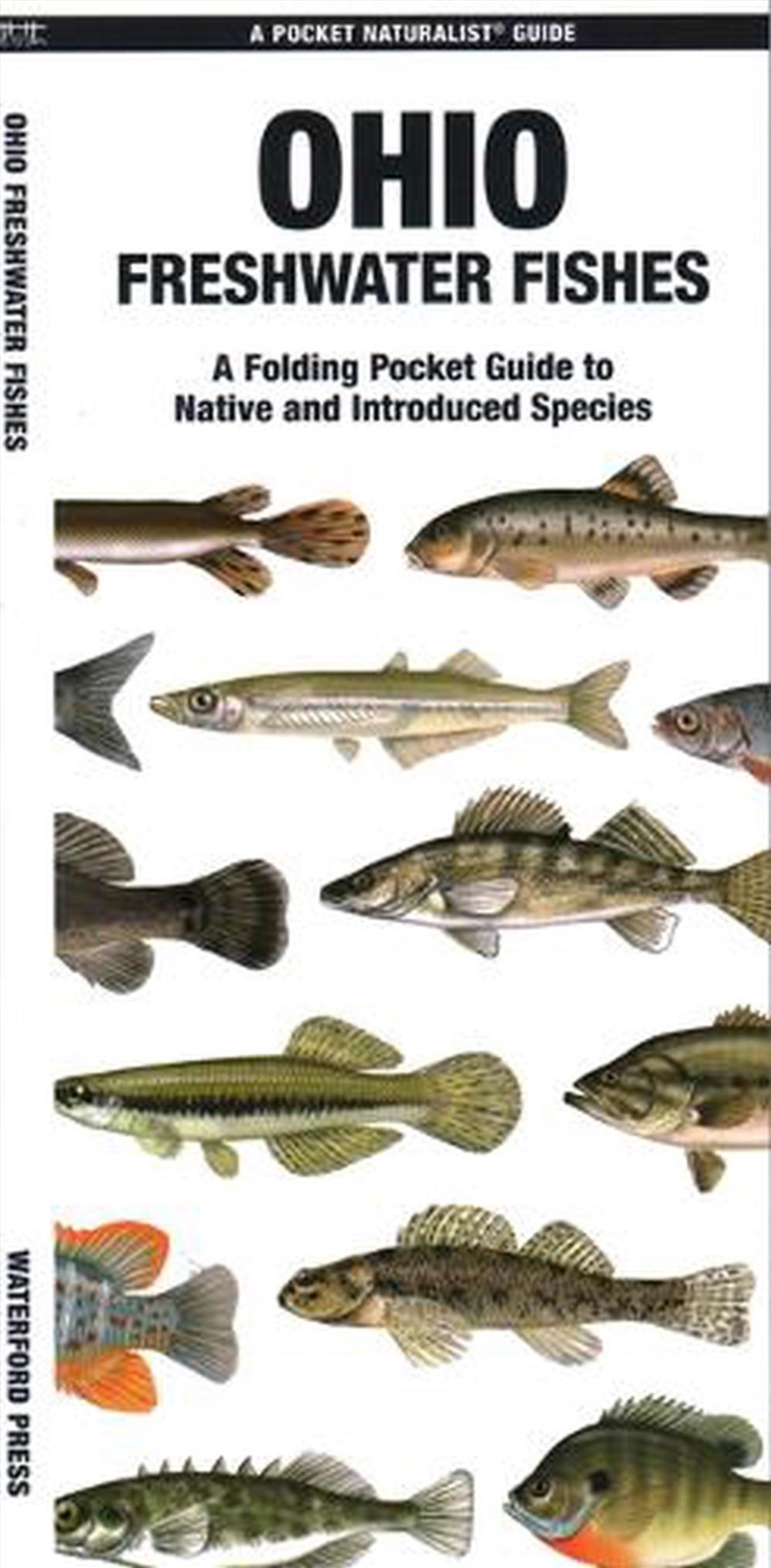 Ohio Freshwater Fishes/Product Detail/Animals & Nature