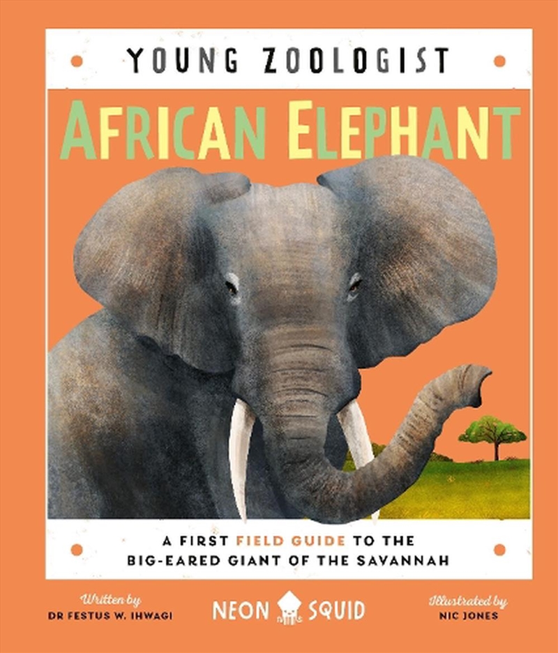 African Elephant Young Zoolog/Product Detail/Childrens