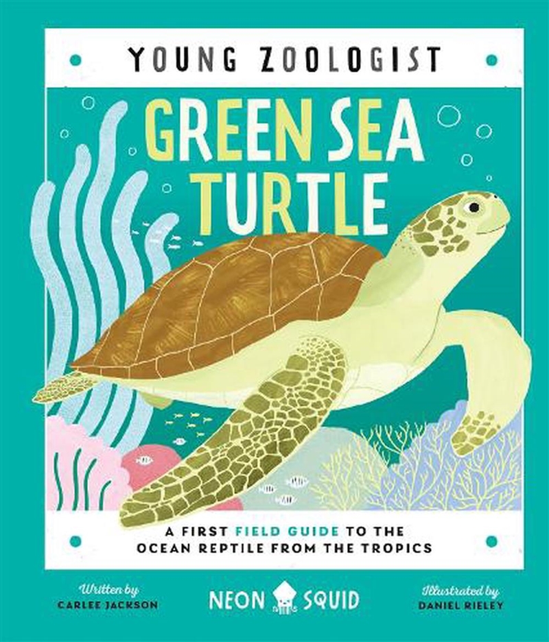 Green Sea Turtle Young Zoolog/Product Detail/Childrens