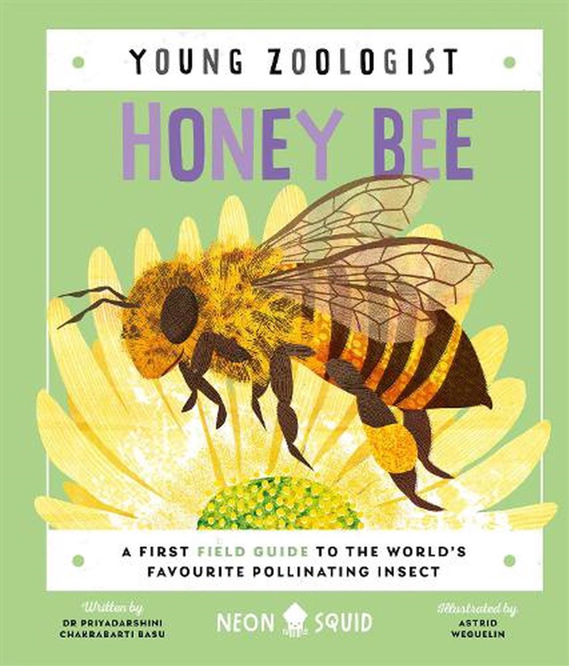 Honey Bee Young Zoologist/Product Detail/Childrens