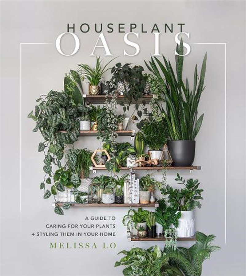 Houseplant Oasis/Product Detail/House and Home Design