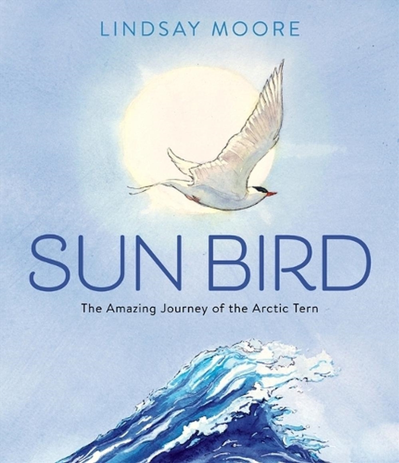 Sun Bird/Product Detail/Animals & Nature