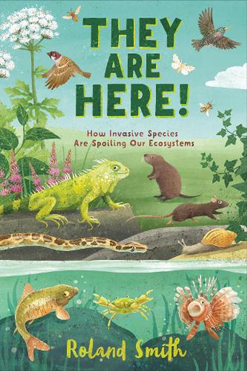 They Are Here!/Product Detail/Kids Educational