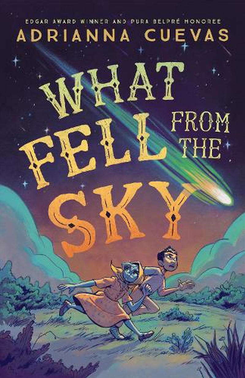 What Fell From The Sky/Product Detail/Childrens Fiction Books