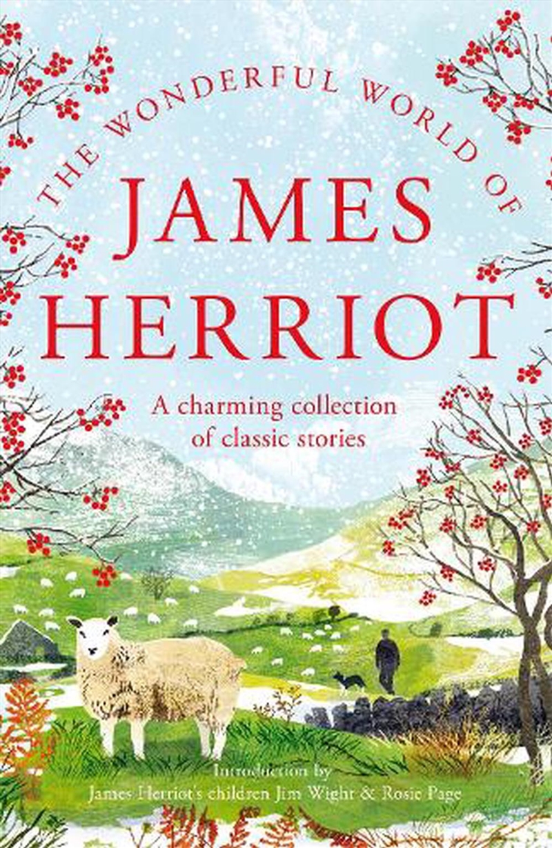 Wonderful World Of James Herri/Product Detail/Biographies & True Stories
