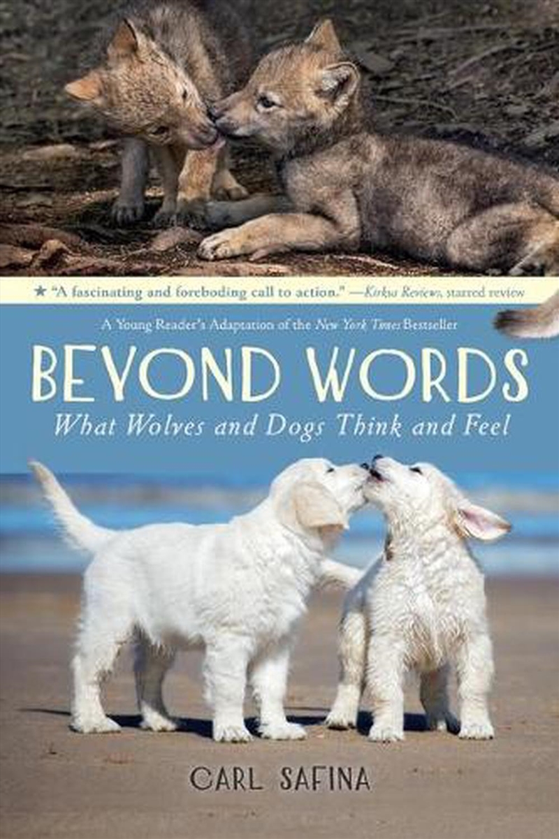 Beyond Words: What Wolves And/Product Detail/Childrens
