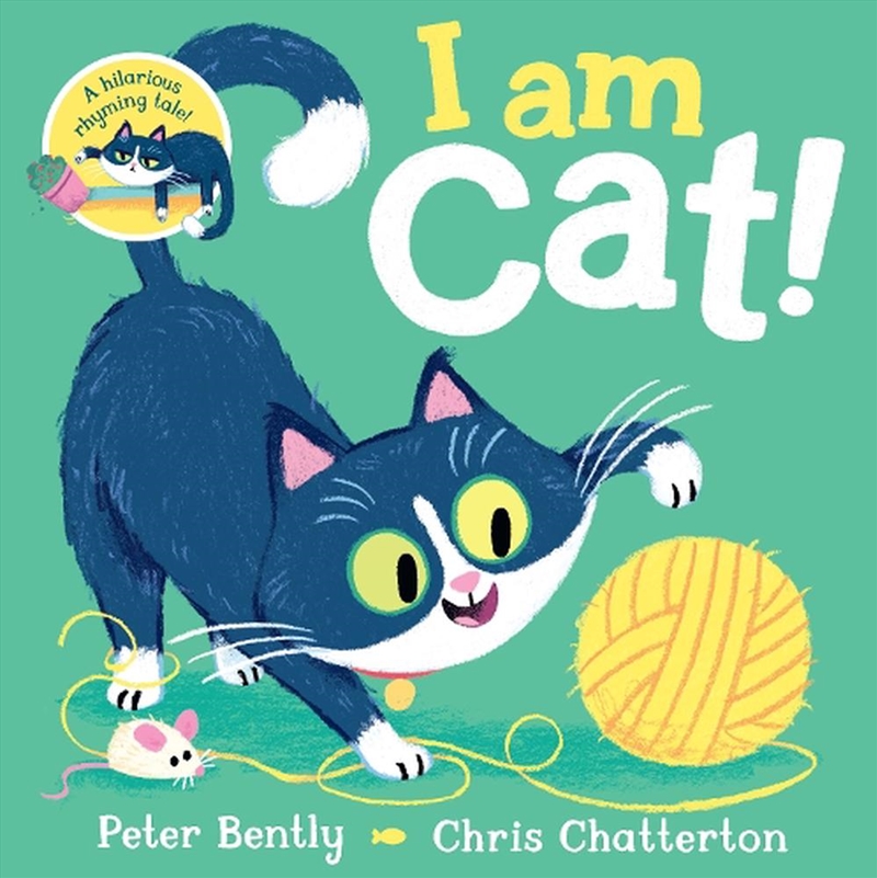 I Am Cat/Product Detail/Early Childhood Fiction Books