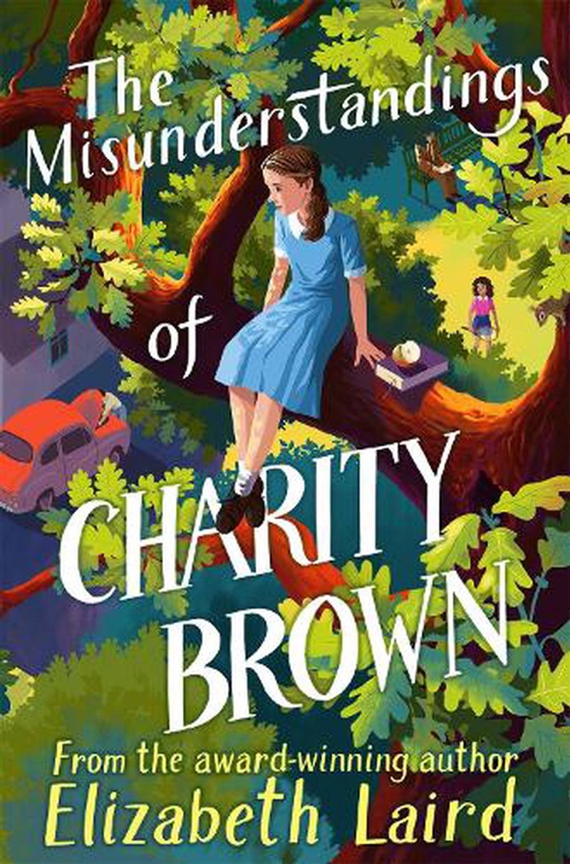 Misunderstandings Of Charity B/Product Detail/Childrens Fiction Books