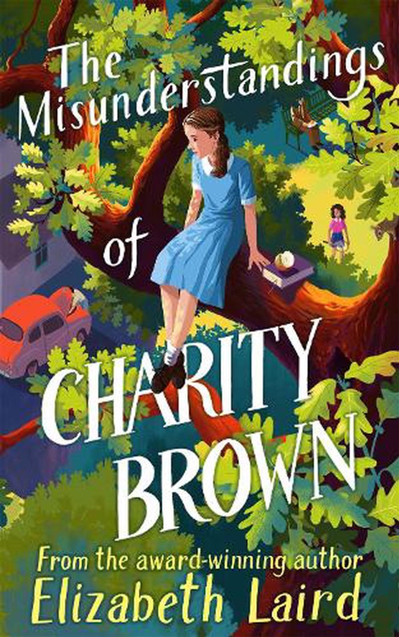 Misunderstandings Of Charity B/Product Detail/Childrens Fiction Books