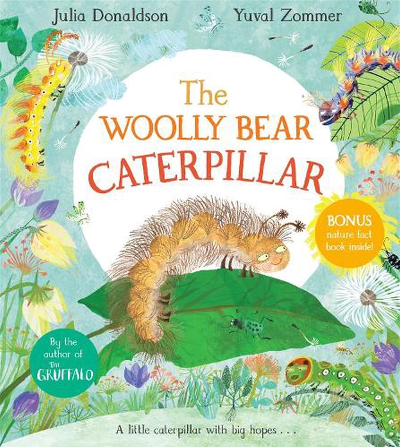 The Woolly Bear Caterpillar/Product Detail/Early Childhood Fiction Books