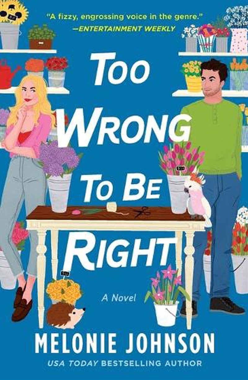 Too Wrong To Be Right/Product Detail/Romance