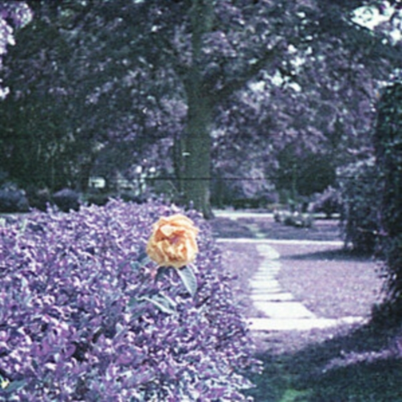 Subminiature/Product Detail/Alternative