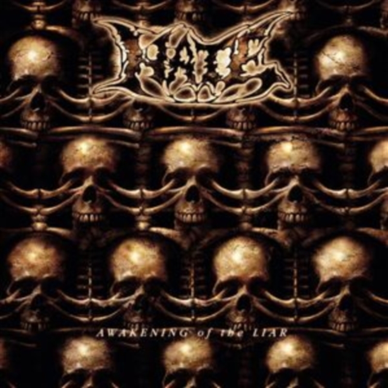 Awakening Of The Liar/Product Detail/Metal