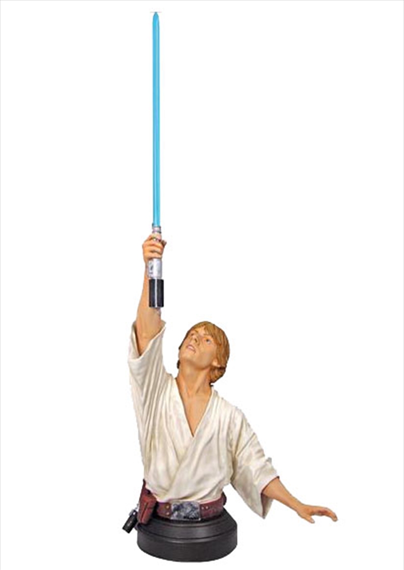 Luke Skywalker Farm Boy Mini Bust/Product Detail/Busts