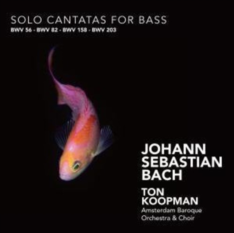 Solo Cantatas For Bass/Product Detail/Classical