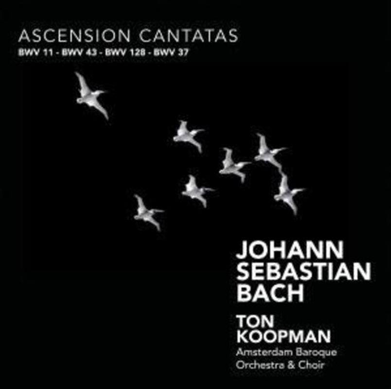 Ascension Cantatas/Product Detail/Classical