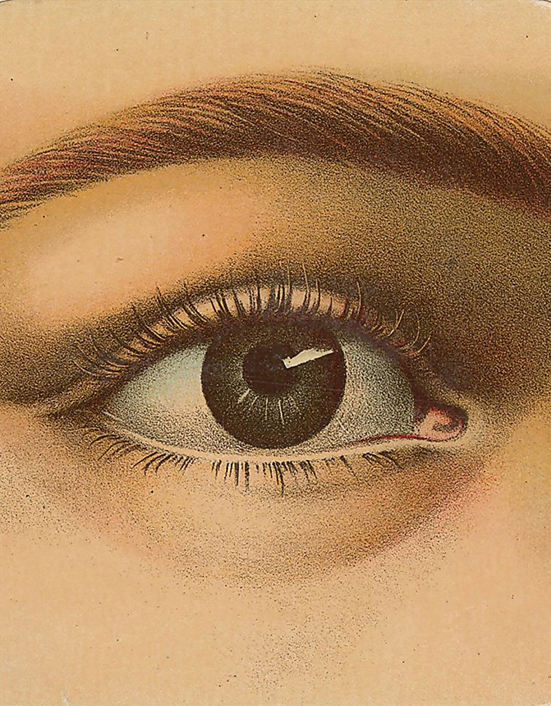 John Derian Picture Book/Product Detail/Reading