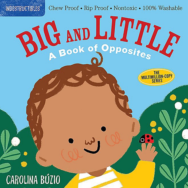 Indestructibles: Big and Little: A Book of Opposites/Product Detail/Early Childhood Fiction Books