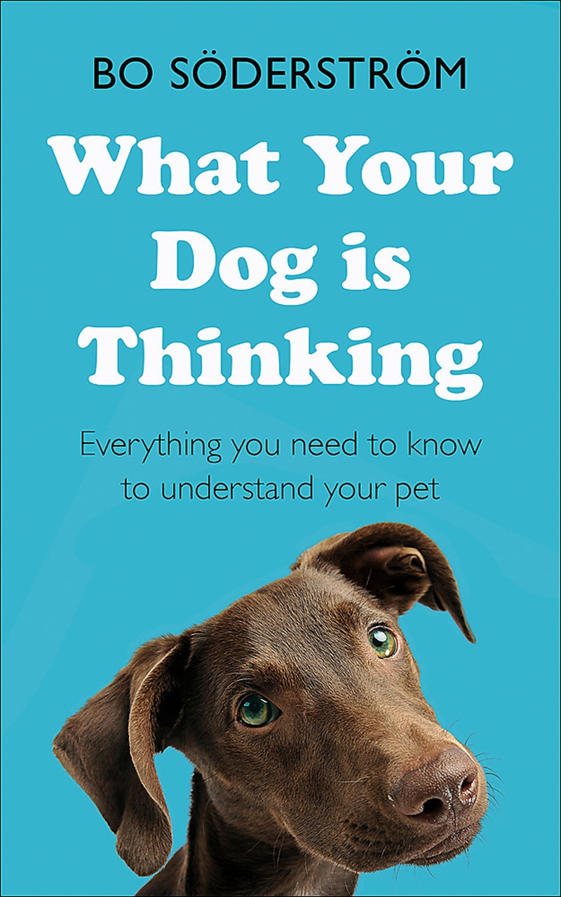 What Your Dog Is Thinking/Product Detail/Animals & Nature