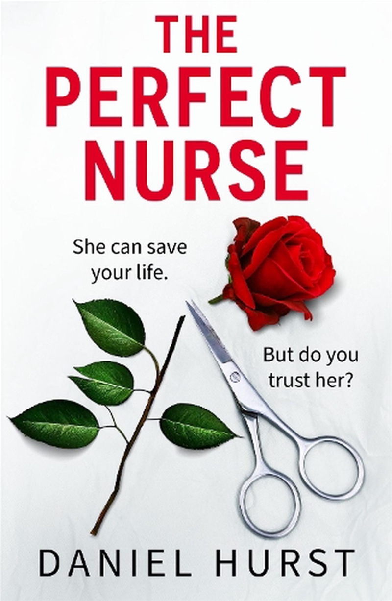 The Perfect Nurse/Product Detail/Thrillers & Horror Books