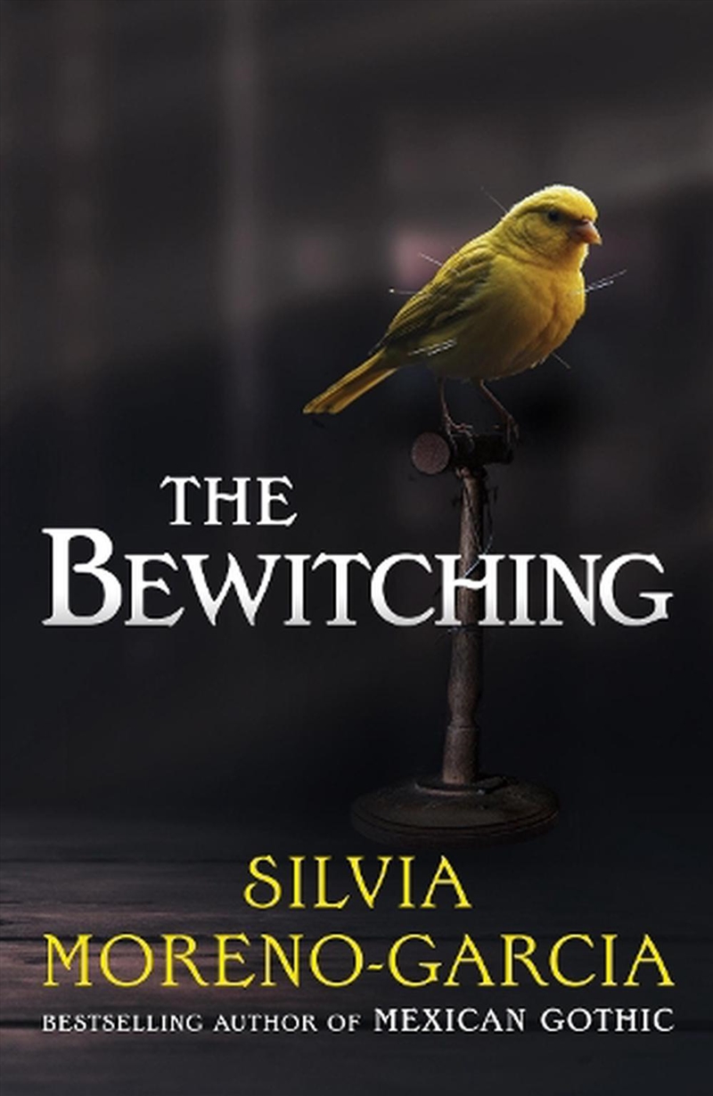 The Bewitching/Product Detail/Fantasy Fiction