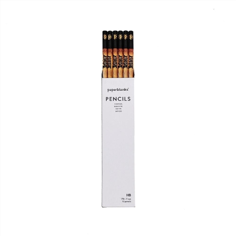 Asterix & Obelix (The Adventures of Asterix) Pencil (12 Pack)/Product Detail/Stationery
