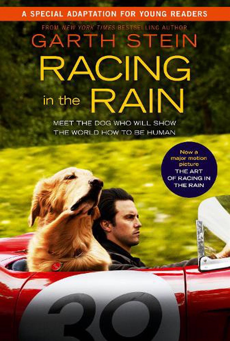 Racing In The Rain/Product Detail/Childrens Fiction Books