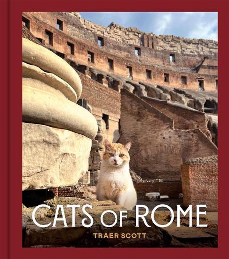 Cats of Rome/Product Detail/Animals & Nature