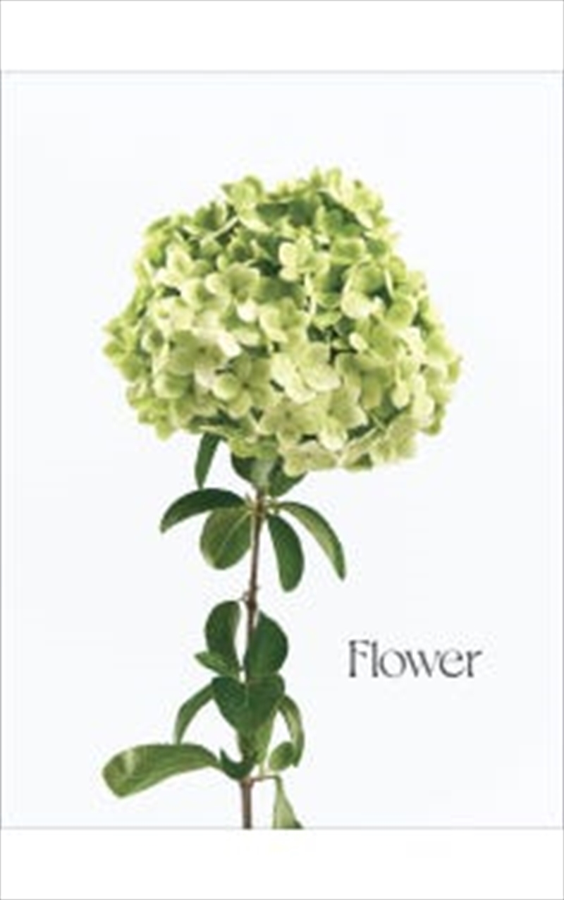 Flower/Product Detail/Reading